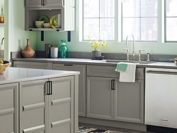 Kitchen Cabinet Brand For Your Remodel